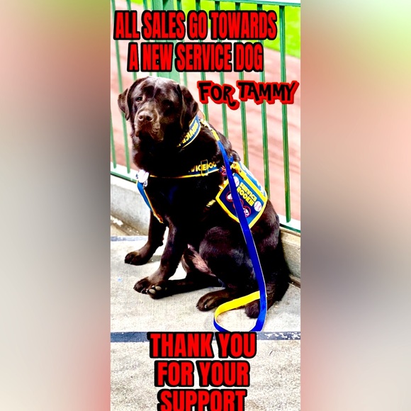 🦋HOST PICK🦋 Kitty Cat Dangling Earrings NWT - Picture 3 of 3